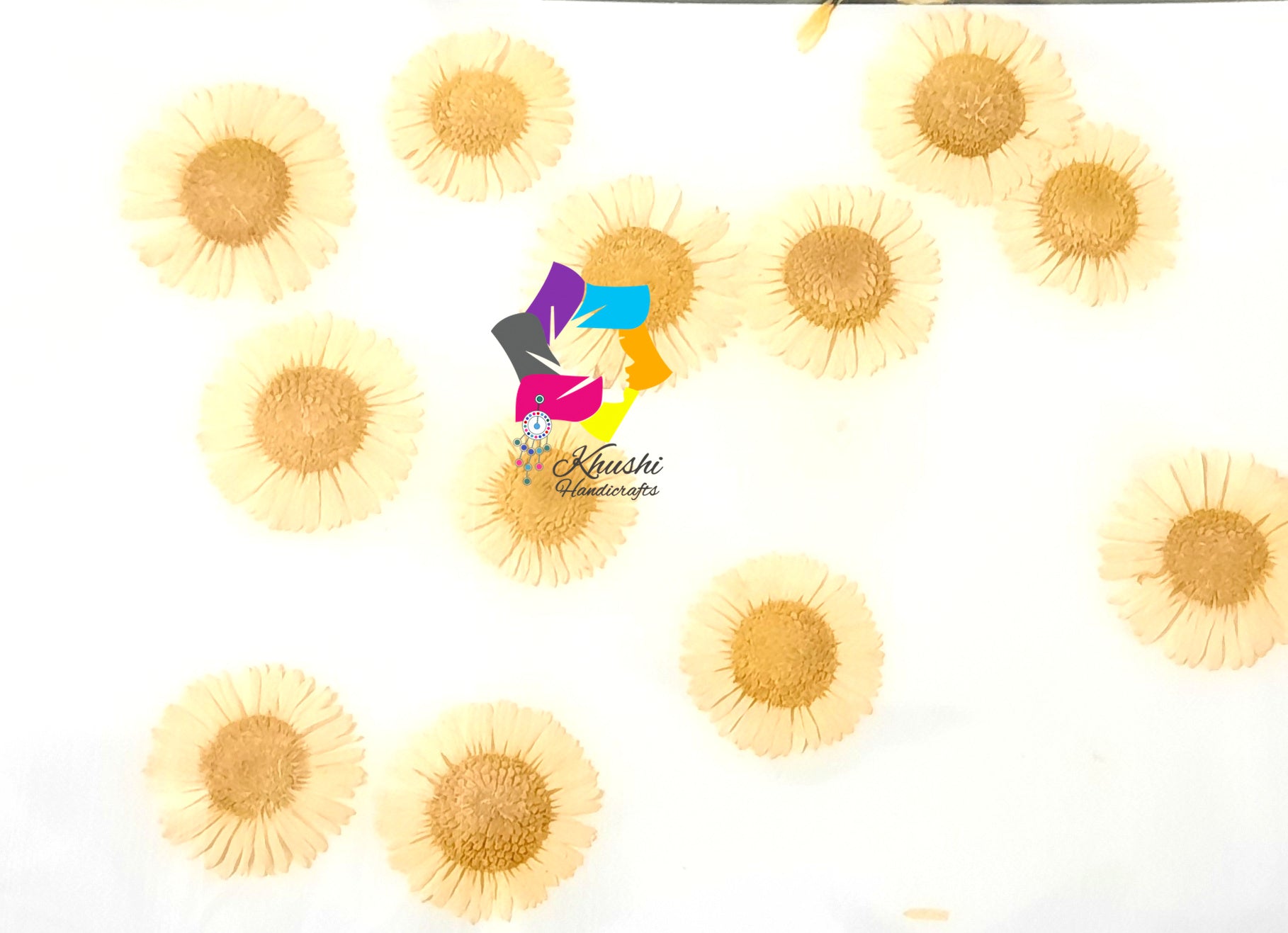 Dry flowers for Resin