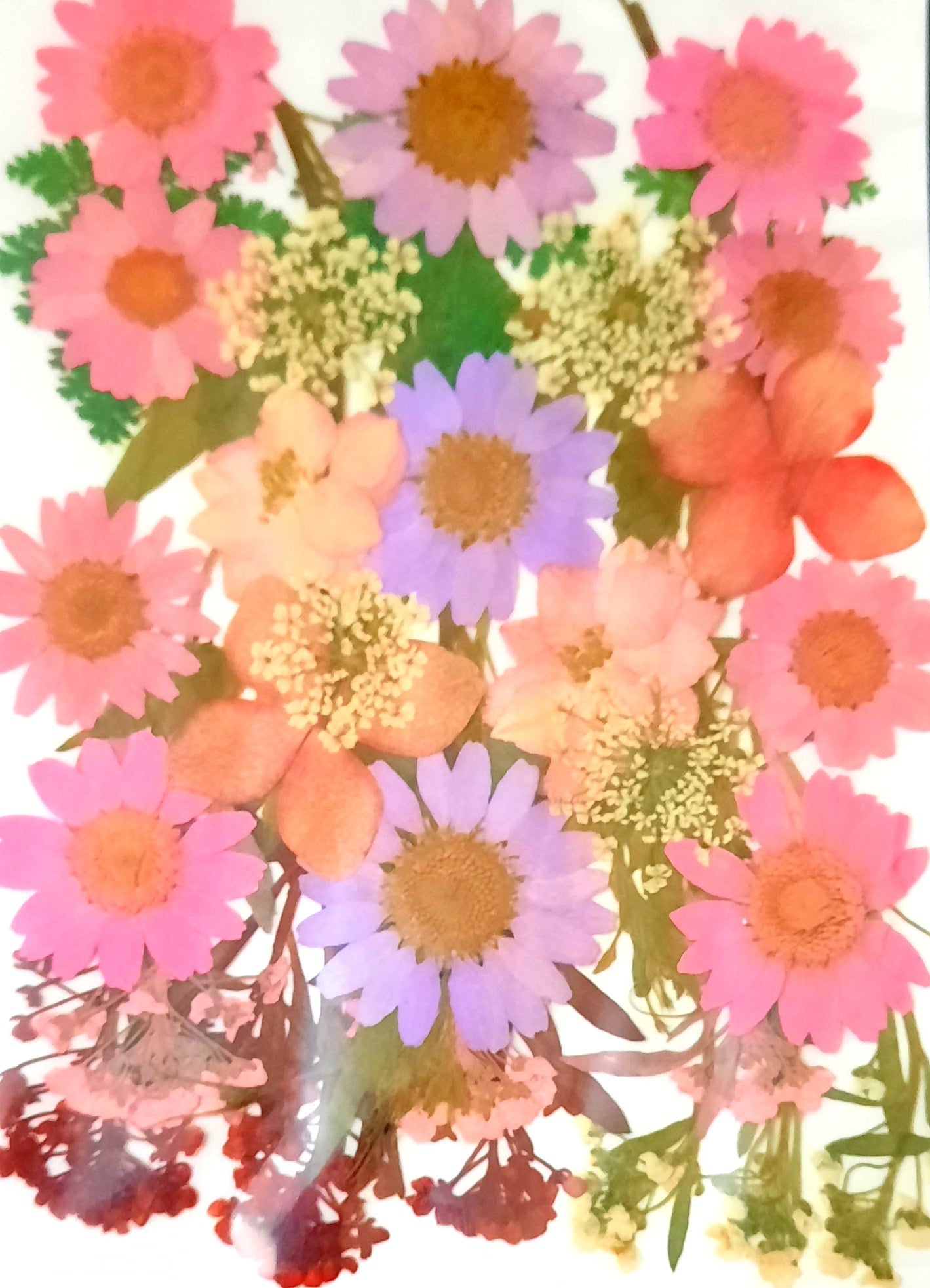 Pressed flowers for resin