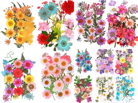 Dried flowers for Resin Jewelry and Resin Crafts