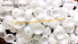 Bulk /Wholesale Jhumka Moulds/Bases for Silk Thread Jewelry Making!