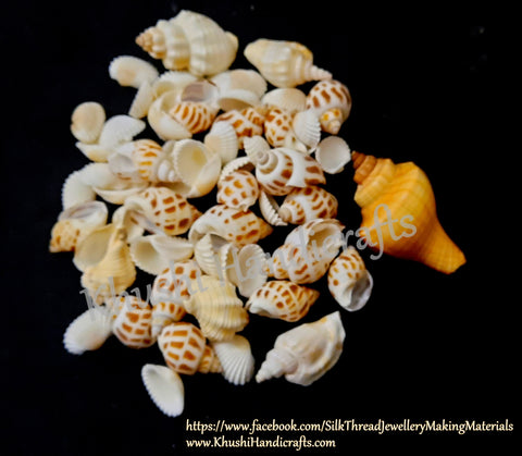 100g Shells For Resin Crafts ,Jewelry Mold Filling and Candle Making for the Beach effect