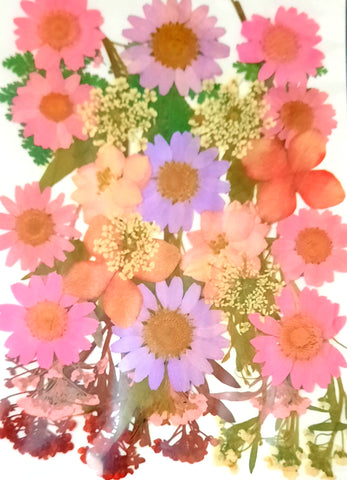 Mixed dry Pressed Flowers 116-3,Dried Natural Flowers For Resin Crafts, Jewelry Mold Filling and Nail Art