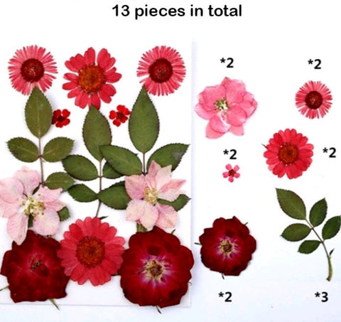 Mixed dry Pressed Flowers 44-5,Dried Natural Flowers For Resin Crafts, Jewelry Mold Filling and Nail Art
