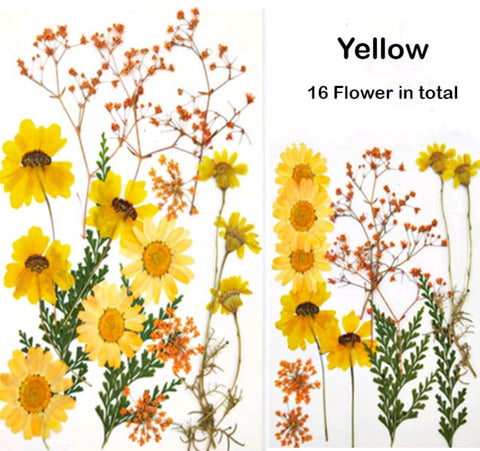 Mixed dry Pressed Flowers 44-6,Dried Natural Flowers For Resin Crafts, Jewelry Mold Filling and Nail Art