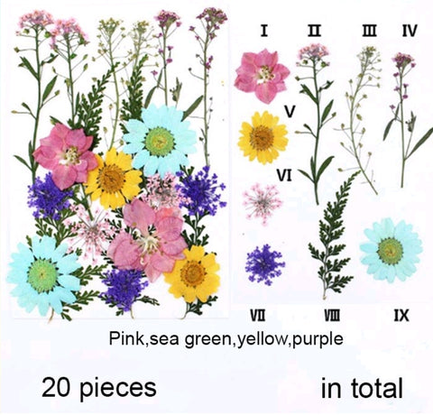 Mixed dry Pressed Flowers 76-5 ,Dried Natural Flowers For Resin Crafts, Jewelry Mold Filling and Nail Art