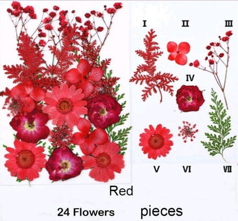 Mixed dry Pressed Flowers 76-12,Dried Natural Flowers For Resin Crafts, Jewelry Mold Filling and Nail Art